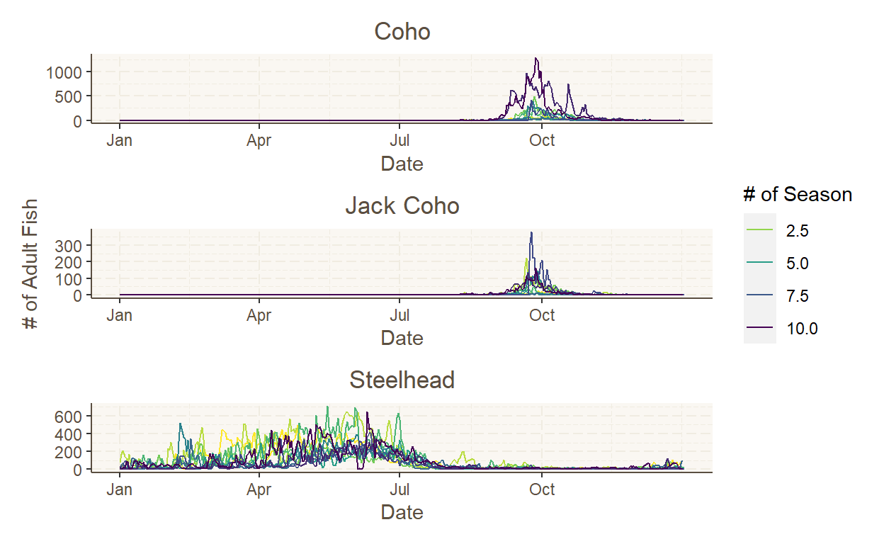 Season Plots for all ten years for each species of fish. Earlier seasons are colored in a light color and darker colors represent later seasons. Both types of Coho peak around October, while Steelhead peak around June.